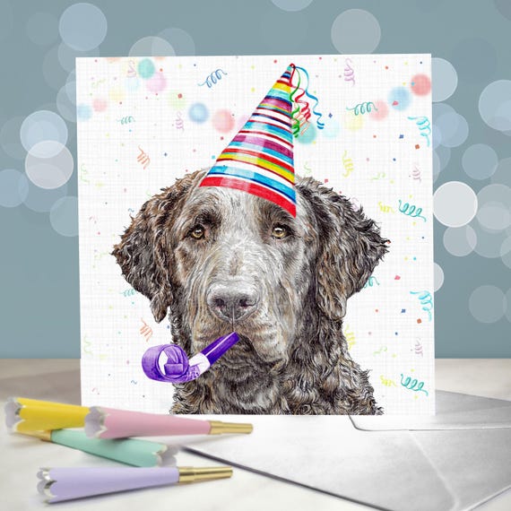 J&J'S TOYSCAPE Carte D'anniversaire Carlin Noir, Carte D'anniversaire Mignonne Pour Les Amateurs De Chiens, Carte Amusante De 21,6 X 14,9 Cm Avec