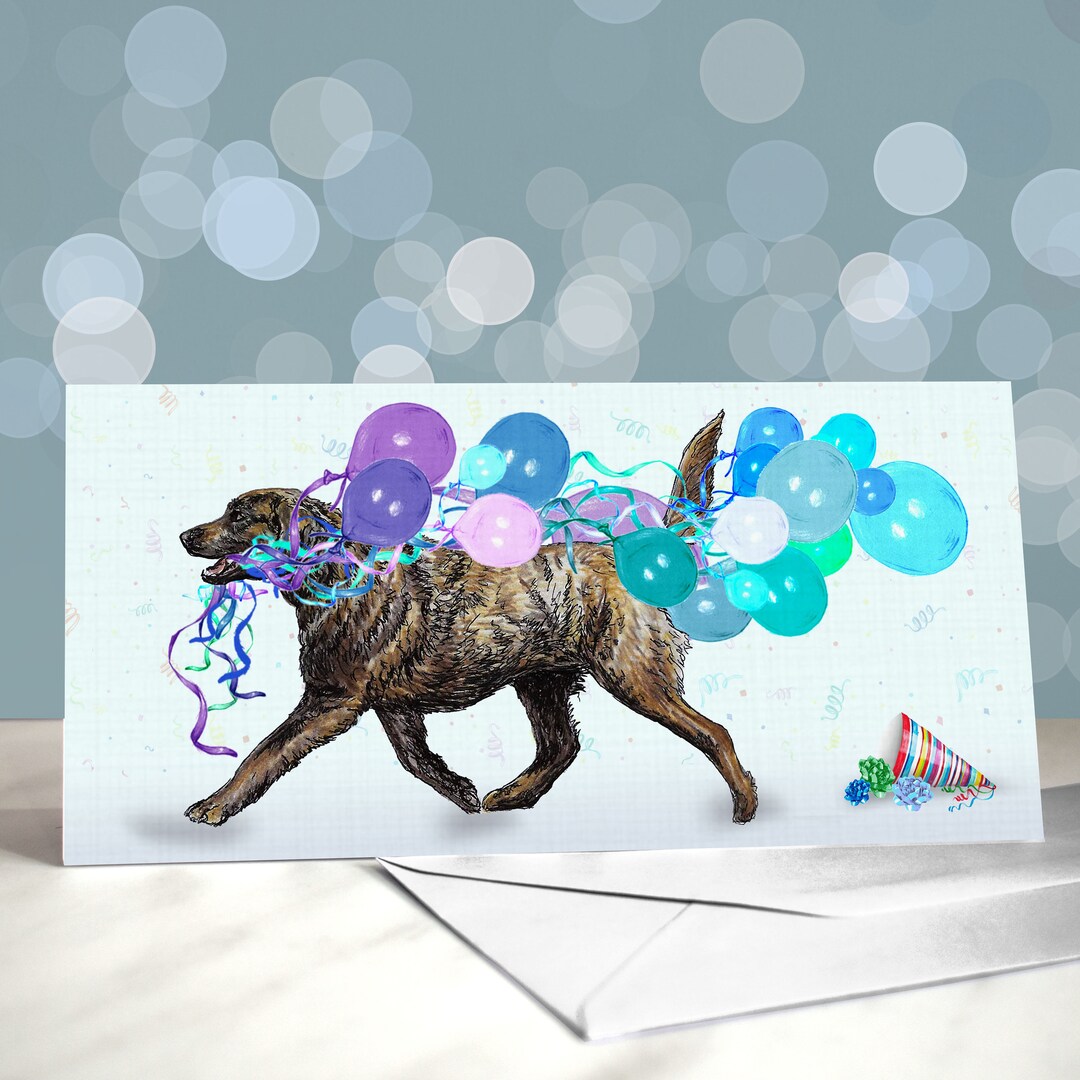 Chesapeake Bay Retriever Birthday Greeting Cards / Chessie - Etsy