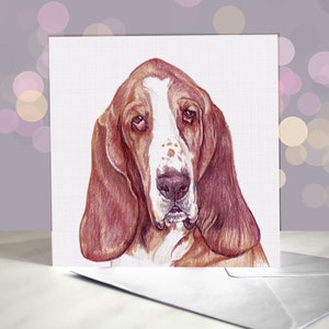 Basset Hound Dreifarbige Grußkarte Basset / Innenseite blanko / Karte vom Hund / Für Tierpfleger, Tierärzte und Rasseliebhaber