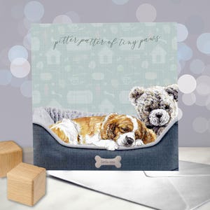 Cavalier King Charles Spaniel - Nuovo biglietto d'auguri per il cucciolo CKCS - Congratulazioni per il tuo arrivo - Biglietto d'auguri per il nuovo nato - Annuncio di nascita - Pitter Patter