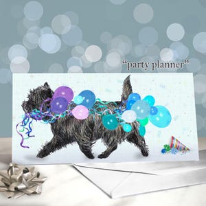 Cairn Terrier-wenskaarten - feestmutsen op vijf verschillende gekleurde Cairn Terriers / blanco binnenkant / kaart van de hond