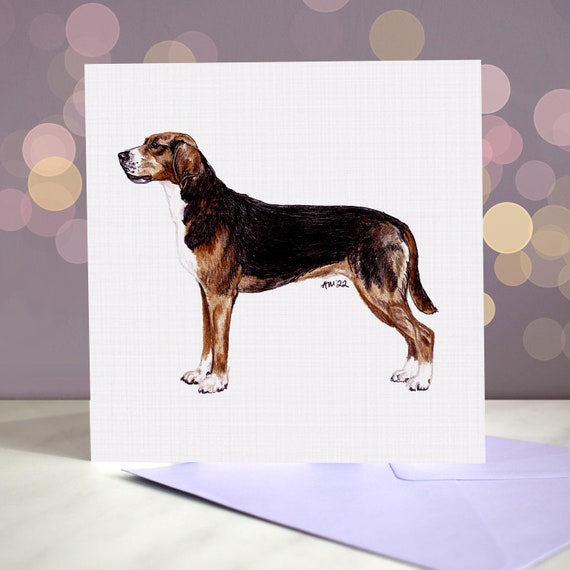 Hamiltonstovare Greeting Card Hamilton Hound / Trailhound / Swedish  Scenthound Gift From the Dog / for Groomers, Vets and Breed Lovers - Etsy