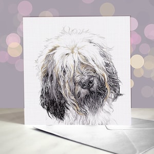 Cartes de voeux pour chien de berger catalan / Carte notelet vierge / Carte du chien / Carte de remerciement pour chien / Pour les toiletteurs, les vétérinaires et les amateurs de races