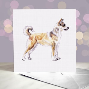 Carte de voeux Lundehund norvégienne / Chien macareux de type Spitz / Vierge à l'intérieur / Pour les toiletteurs, les vétérinaires et les amateurs de races