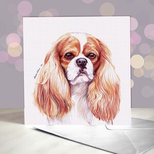 Biglietto d'auguri Cavalier King Charles Spaniel - Blenheim / Rosso e Bianco / Zenzero e Bianco Cavvie dal Cane