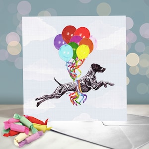 Cartes d'anniversaire de chien d'arrêt allemand à poil court - intérieur vierge / carte du chien / race de chien préférée en cadeau