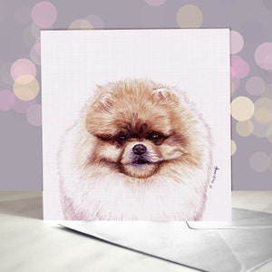Pomeranian Greeting Card / Blank Inside / Card from the Dog / For Groomers, Vets and Breed Lovers
