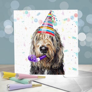 オッターハウンドの誕生日グリーティングカード / セントハウンド犬愛好家 / 中は空白 / 犬からのカード
