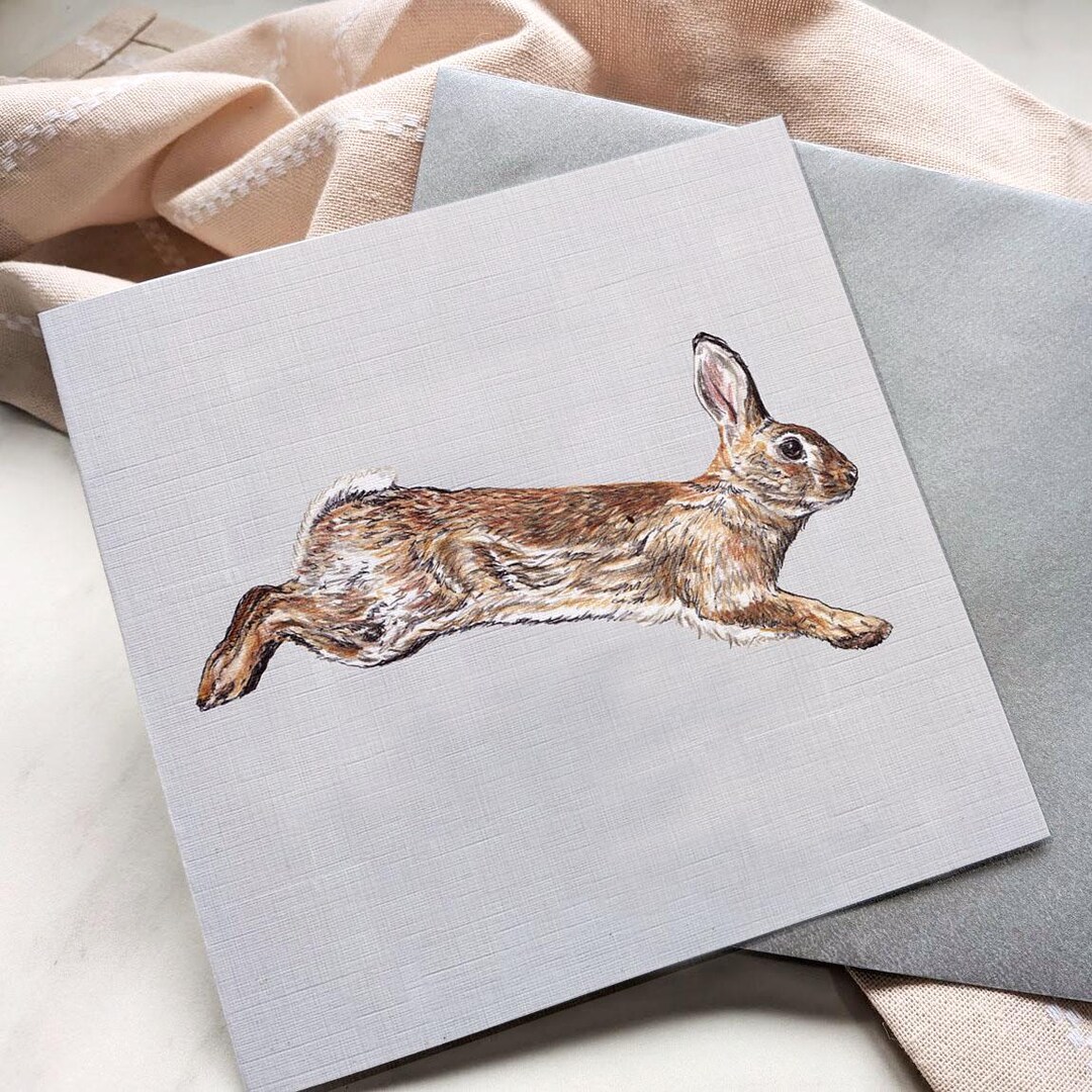 Cottontail Rabbit Card Cottontail Wild Rabbit Greeting Card / Blank Inside / Wildlife Card for ...