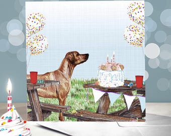 Danilo Promotions Biglietto Di Auguri Ufficiale: 'Happy Birthday Lovely Lady', Con Busta, Cartoncino Inglese, Regalo Per Donne