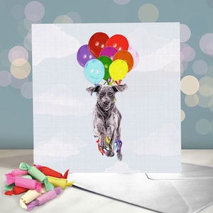 Weimaraner Birthday Greeting Card / Blank Inside / Celebration Card from the Dog