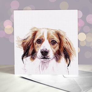 Tarjeta de felicitación Nederlandse Kooikerhondje / Señuelo de pato / Spaniel holandés / Interior en blanco / Para peluqueros, veterinarios y amantes de las razas