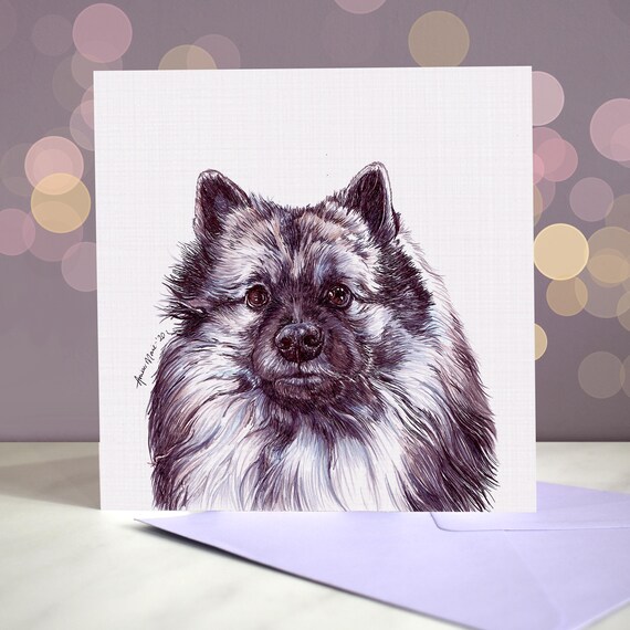 How Do Groomers Bathe A Keeshond