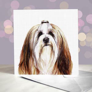Carte de voeux Lhassa Apso / Chien tibétain / Race à poil long / Intérieur vierge / Carte du chien / Pour les toiletteurs, les vétérinaires et les amateurs de races