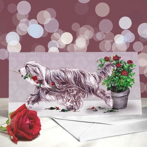 Collie barbudo: variedad de tarjetas de aniversario y de San Valentín: tarjeta de "te amo" para los amantes de los perros pastores: divertido San Valentín de parte del perro