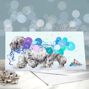 Cesky Terrier Geburtstagskarte / Tschechischer Terrier Karte / Geschenk für Hundeliebhaber / Innenseite leer / Bearded Terrier Hund / Hundemama Geburtstagskarte