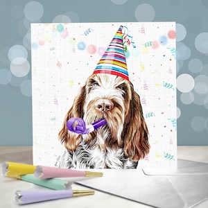 Biglietto di auguri Spinone Italiano / Varietà di biglietti di compleanno Spinone / Interno vuoto / Biglietto dal cane / Per toelettatori, veterinari e amanti della razza