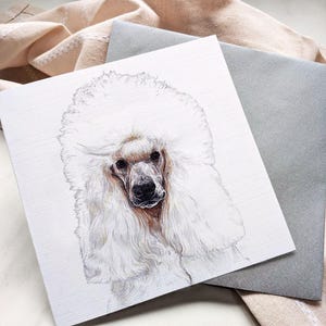Standard Poodle Greeting Card - White, Black and Corded Poodles / Blank Inside / Card from the Dog / For Groomers, Vets and Breed Lovers