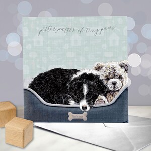 Border Collie - Neue Welpen Karte - Herzlichen Glückwunsch zu Ihrer Ankunft - Neue Baby Karte - Geburtsankündigung - Pitter Patter von Tiny Paws