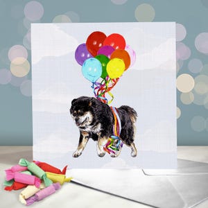 Tibetischer Mastiff Geburtstagskarte / Verschiedene TM Grußkarten / Innenseite leer / Karte vom Hund / Tibetischer Sennenhund