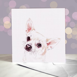 Biglietto d'auguri per Chihuahua a pelo liscio / Interno vuoto / Biglietto del cane / Per toelettatori, veterinari e amanti della razza
