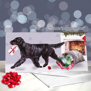 Flatcoated retriever-kerstkaarten - kerstmutsen op vijf verschillende gekleurde flatties / blanco binnenkant / kaart van de hond - hond kerstkaart