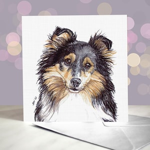Wenskaart Shetland Sheepdog / Blue Merle / Bi Blue Sheltie / Tricolor / Bi Black / Sable Sheltie / Blanco binnenkant / Kaart van de hond