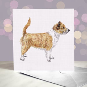Biglietto d'auguri per Podengo portoghese piccolo - Levriero ruvido di The Dog / Per toelettatori, veterinari e amanti della razza