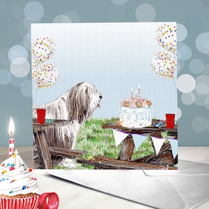 Bearded Collie Glückwunschkarten zum Geburtstag - Partyhüte auf fünf verschiedenen Beardies / innen leer / Karte vom Hund