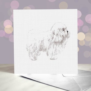 Biglietto d'auguri bolognese / Interno vuoto / Biglietto del cane