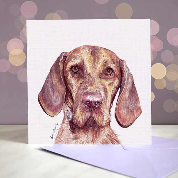 Wirehaired Vizsla Greeting Card / Card from the Dog / Blank Inside / For Groomers, Vets and Breed Lovers