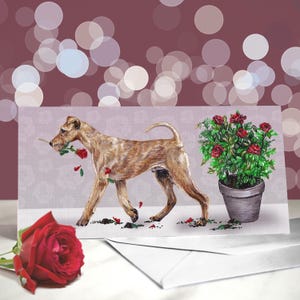 Terrier irlandese - Varietà di biglietti di anniversario e di San Valentino - Biglietto "Ti amo" per gli amanti dei cani - Divertente biglietto di San Valentino dal cane - Regalo Terrier
