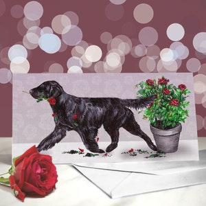 Flat Coated Retriever - Varietà di biglietti di anniversario Flattie - Ti amo biglietto per gli amanti dei cani - Divertente San Valentino dal cane