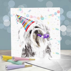 Carte de voeux d'anniversaire Lowchen Little Lion Dog with Cake / Vierge à l'intérieur / Carte du chien / Pour les vétérinaires, les toiletteurs et les amateurs de races