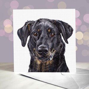 Carte de voeux pour chien Beauceron / Berger français / Berger de Beauce / Intérieur vierge / Carte du chien / Pour les toiletteurs, les vétérinaires et les amateurs de races