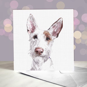 Biglietto d'auguri con il levriero di Ibiza / Ruvido o liscio / Podenco Ibecenco / Cane Beezer / Levriero / Interno vuoto / Biglietto del cane