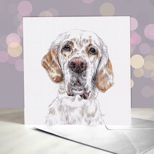 Setter anglais - Différentes couleurs - Cartes de voeux pour chiens / Intérieur vierge / Carte du chien / Pour les toiletteurs, les vétérinaires et les amateurs de races