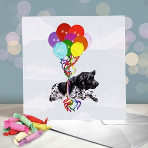 Tarjeta de cumpleaños para perro Braco Frisón / Interior en blanco / Braco Frisón / Perro de caza / Para peluqueros, veterinarios y amantes de la raza