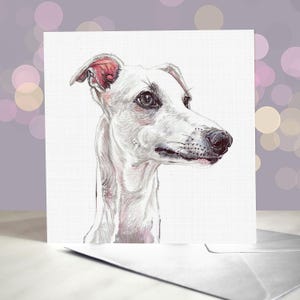 Biglietto di auguri per cane Whippet - Regalo per levriero da corsa / Interno vuoto / Biglietto dal cane / Fulvo / Parti grigio / Snap Dog / Levriero in miniatura