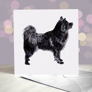 Schwedischer Lapphund Grußkarte / Rentierhüter Spitz Hund / Black Beauty of Norrland / Innenseite blanko / Karte vom Hund / Laponischer Hirte