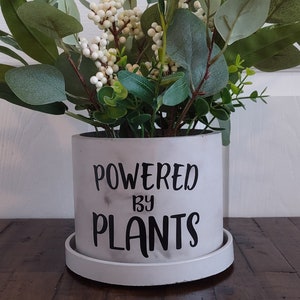 May include: White ceramic planter with the text "Powered by Plants" in black lettering. The planter is filled with a green leafy plant with white berries.