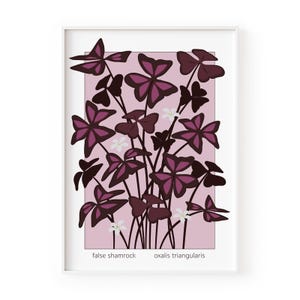 Oxalis Triangularis Botanical Print | Purple Shamrock Wall Art | Home Decor | Nature Gift, Indoor Plant Artwork | Botanical Gifts