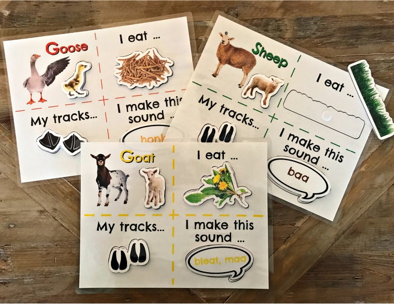 Farm Animals Sort and Match | Mother and Baby Farm Animals | Farm ...