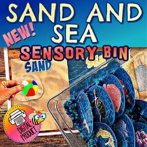 May include: A digital printable for a sand and sea sensory bin. The printable includes images of a beach ball, sand, and sea creatures. The text "NEW! SAND AND SEA SENSORY BIN" is at the top of the image.