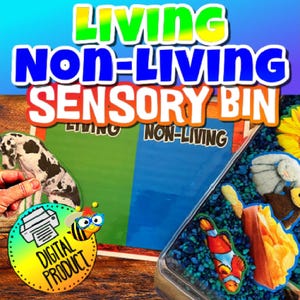 Living and Non-Living Sorting | Sensory Bin Center Activity | Sorting Living and Non-Living Objects | Preschool Sorting | Homeschool Sorting