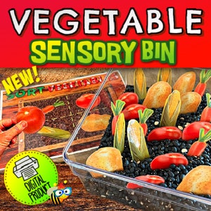 May include: A clear plastic bin filled with black beans, toy vegetables, and a printable "Sort Vegetables" activity sheet. The bin is labeled "Vegetable Sensory Bin".