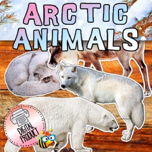 May include: A digital printable set of Arctic animal images. The set includes a polar bear, a wolf, a reindeer, and an arctic fox. The images are on a woodgrain background with the text "Arctic Animals" at the top.