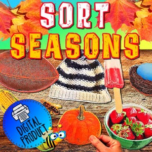 Seasons Sorting | Seasons | Seasons Sorting Mats | Center Activities | Montessori Four Seasons | Preschool Seasons | Homeschool Seasons