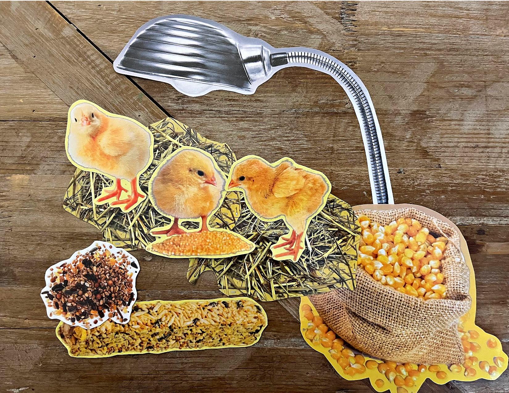 Barnyard Nursery Dramatic Play Set | Printable Farm Animal Activity ...