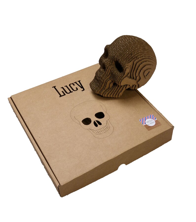 DIY Skull Kit 3D puzzle for adults and children 